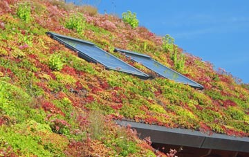 New Romney living roof systems